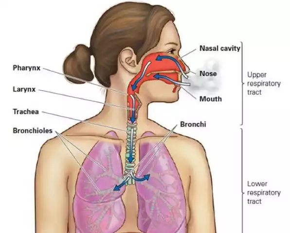 Formoterol: Un avance en la Medicina Respiratoria