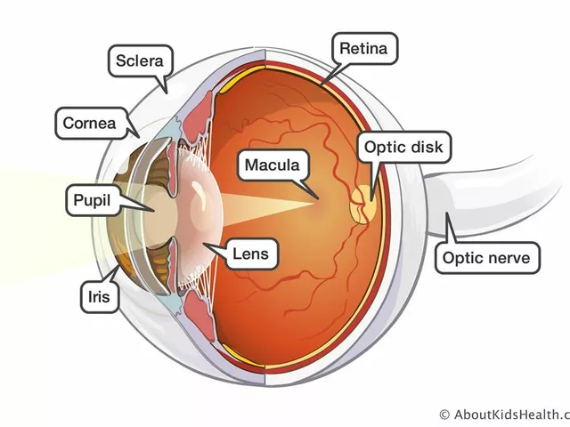 Los Efectos de la Inflamación Postoperatoria en la Córnea y la Retina