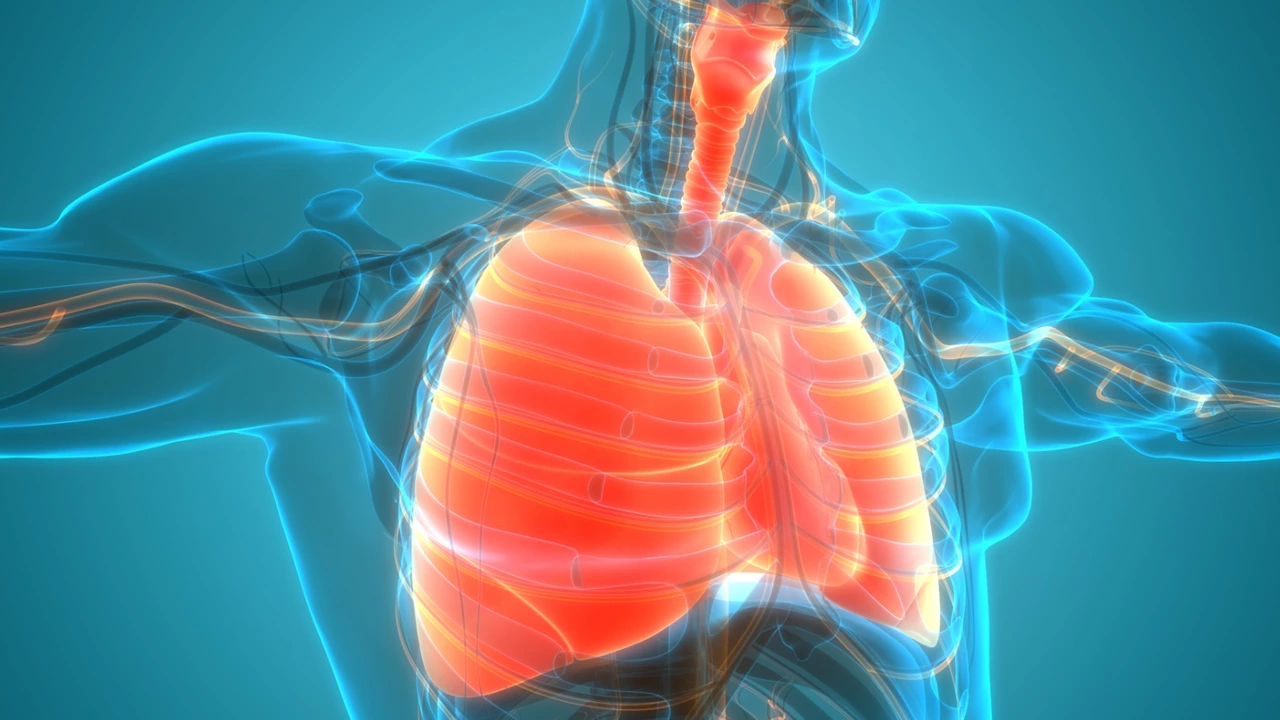 Mejore la Salud de sus Pulmones con Umckaloabo: El Suplemento Dietético Imprescindible para el Apoyo Respiratorio